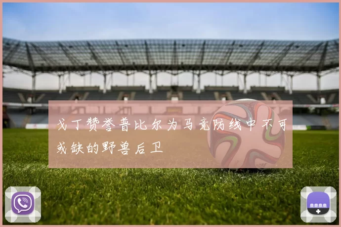 戈丁赞誉普比尔为马竞防线中不可或缺的野兽后卫
