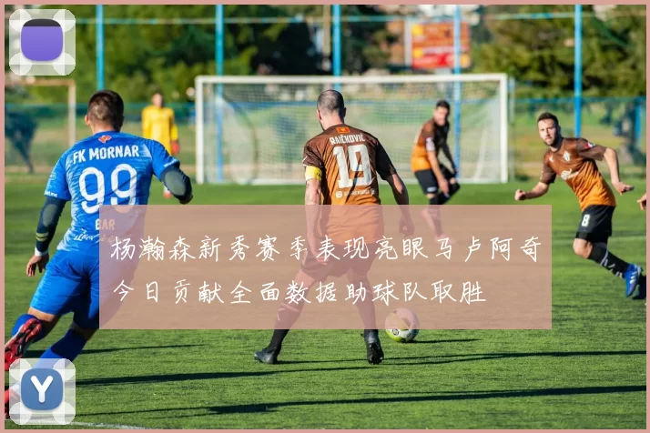 杨瀚森新秀赛季表现亮眼马卢阿奇今日贡献全面数据助球队取胜